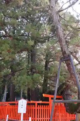 香椎宮(福岡県)