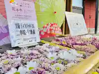 土津神社|こどもと出世の神さま(福島県)
