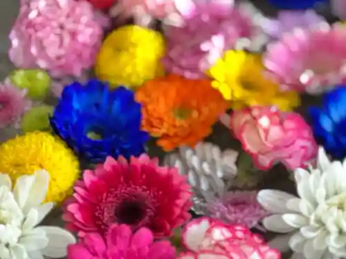 札幌諏訪神社の手水舎