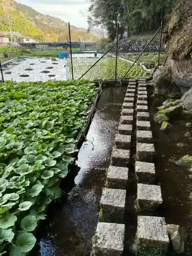 水神社の{uncategorized: "未分類", other: "その他", undefined: "問題あり", building: "その他建物", grave: "お墓", sacred_gate: "鳥居", guardian: "狛犬", statue: "像", buddha: "仏像", history: "歴史", nature: "自然", garden: "庭園", animal: "動物", pagoda: "塔", temizu: "手水舎", mountain_gate: "山門・神門", sanctuary: "本殿・本堂", subordinate: "末社・摂社", art: "芸術", scenery: "景色", jizo: "地蔵", ema: "絵馬", goshuin: "御朱印", omikuji: "おみくじ", items: "授与品その他", amulet: "お守り", goshuincho: "御朱印帳", eats: "食事", festival: "お祭り", votive_dance: "神楽", shichigosan: "七五三参", wedding: "結婚式", experience: "体験その他", initially: "初詣", around: "周辺", anti_infection: "感染症対策"}