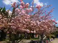 三河別院の自然