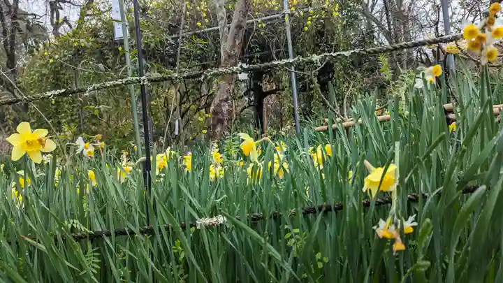 惠心院(京都府)