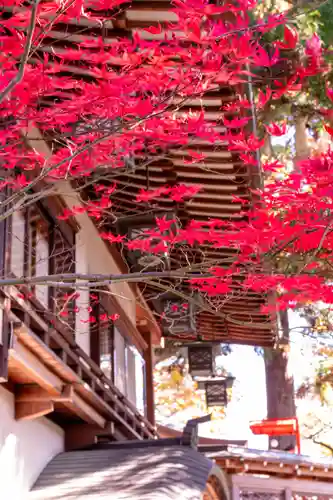 冨士山稲荷神社(長野県)