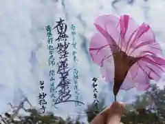 谷中 妙福寺の御朱印