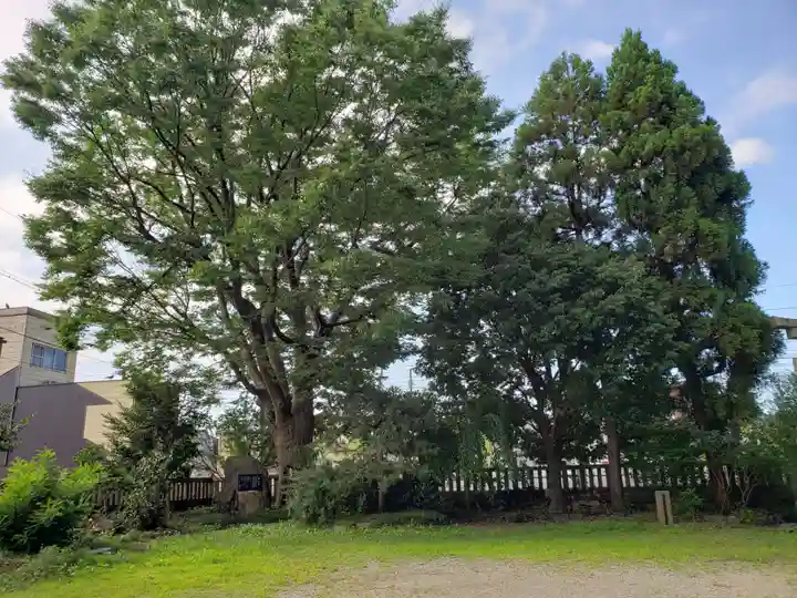大木白山社の自然