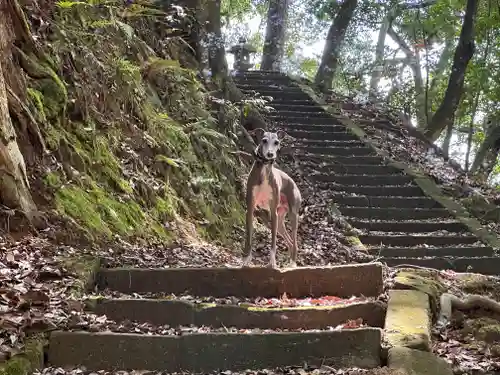 丸田神社(京都府)