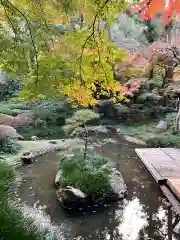 明月院(神奈川県)