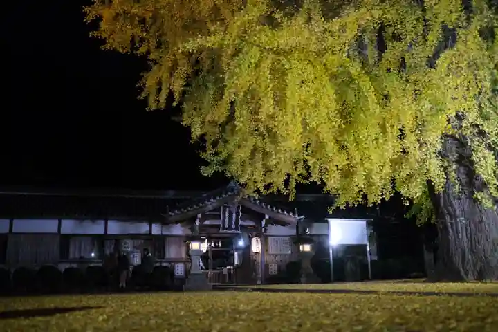 丹生酒殿神社の自然