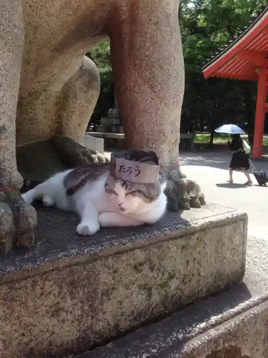住吉大社の動物