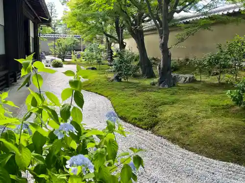 黄梅院(京都府)