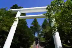 土津神社｜こどもと出世の神さまの鳥居