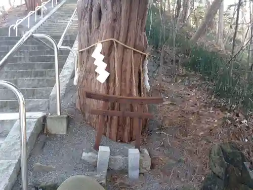 千歳神社の鳥居