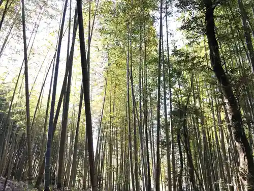 皇産靈神社の自然