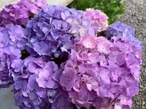 滑川神社 - 仕事と子どもの守り神(福島県)(2023年06月27日(火) 10時31分26秒投稿)