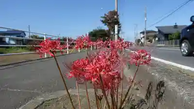 高麗神社の周辺