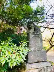 日先神社の狛犬