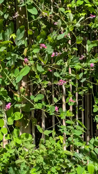 梨木神社(京都府)
