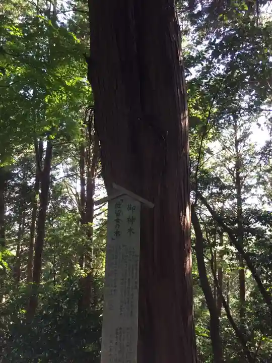 松尾神社の自然