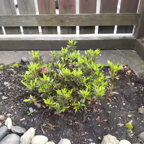 七重浜海津見神社(北海道)