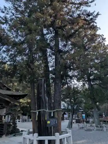 建部大社の{uncategorized: "未分類", other: "その他", undefined: "問題あり", building: "その他建物", grave: "お墓", sacred_gate: "鳥居", guardian: "狛犬", statue: "像", buddha: "仏像", history: "歴史", nature: "自然", garden: "庭園", animal: "動物", pagoda: "塔", temizu: "手水舎", mountain_gate: "山門・神門", sanctuary: "本殿・本堂", subordinate: "末社・摂社", art: "芸術", scenery: "景色", jizo: "地蔵", ema: "絵馬", goshuin: "御朱印", omikuji: "おみくじ", items: "授与品その他", amulet: "お守り", goshuincho: "御朱印帳", eats: "食事", festival: "お祭り", votive_dance: "神楽", shichigosan: "七五三参", wedding: "結婚式", experience: "体験その他", initially: "初詣", around: "周辺", anti_infection: "感染症対策"}
