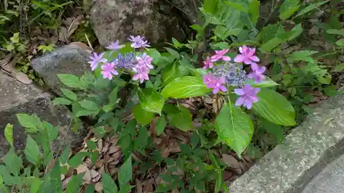中山寺奥之院(兵庫県)