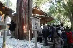 伊勢神宮外宮（豊受大神宮）の自然