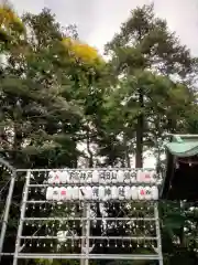 下高井戸八幡神社（下高井戸浜田山八幡神社）(東京都)