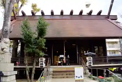 高円寺氷川神社の本殿・本堂