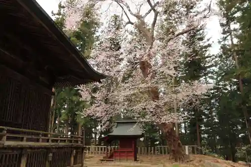 田村神社の景色