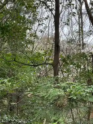 尾張冨士大宮浅間神社(愛知県)