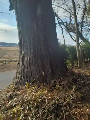 愛宕神社(宮城県)