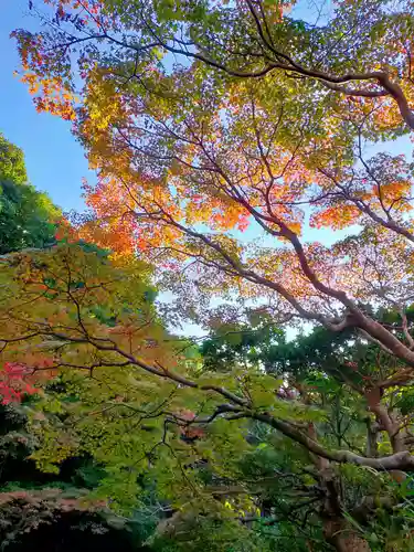 不退寺(奈良県)