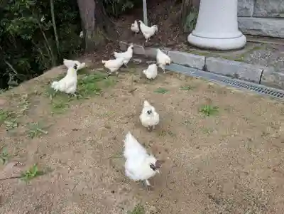 高屋敷稲荷神社(福島県)