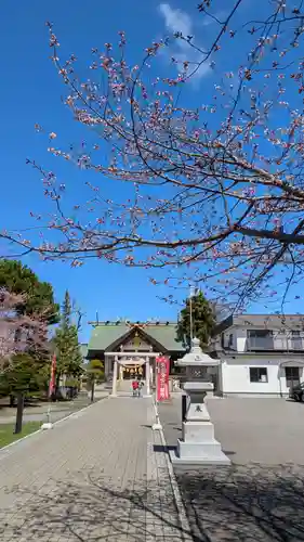 烈々布神社の自然