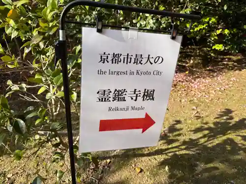 霊鑑寺門跡(京都府)