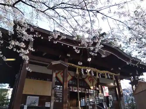  湊八幡神社の本殿