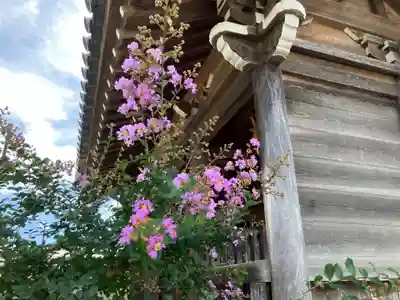 高西寺(東京都)