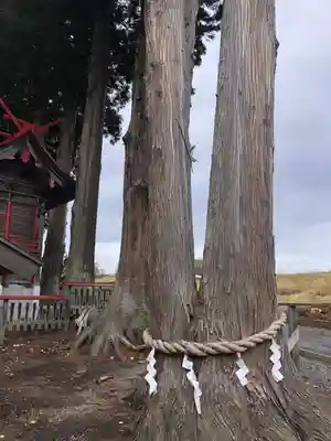 武甕槌神社の自然