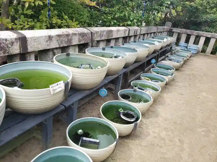 おふさ観音(観音寺)(奈良県)