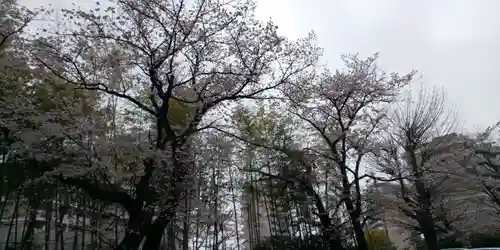 星川杉山神社の自然
