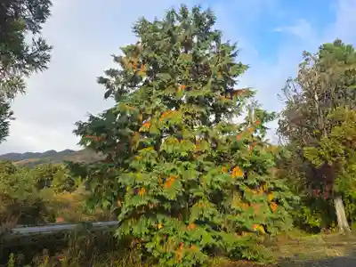 日置神社(滋賀県)