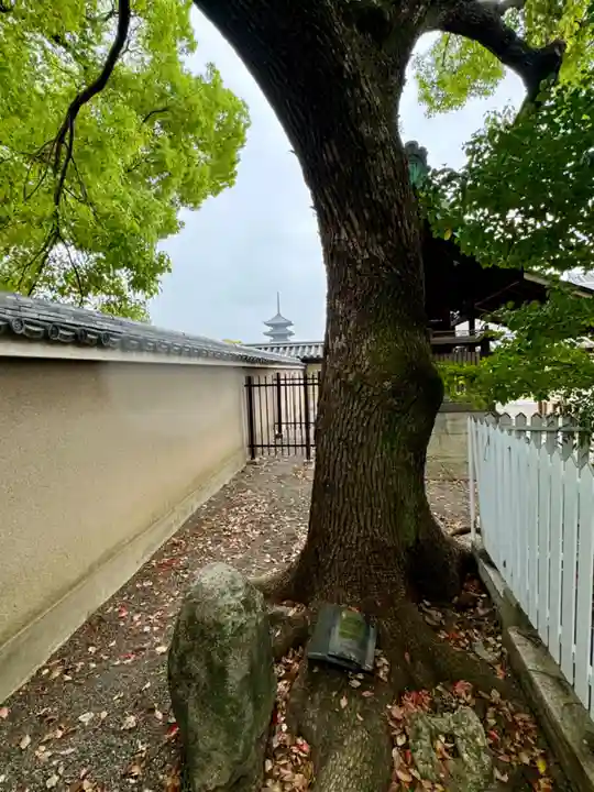 東寺(教王護国寺)(京都府)