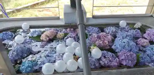 下野國一社八幡宮の手水舎