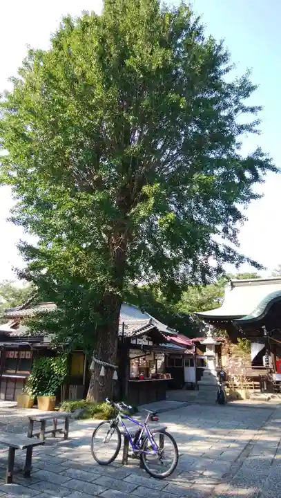 菊田神社の自然