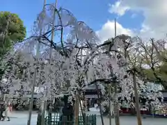 大國魂神社の自然