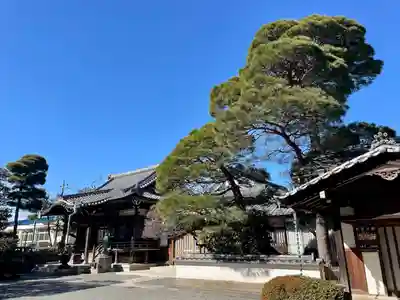金藏院(東京都)