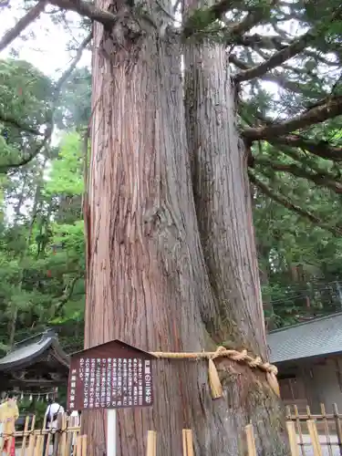戸隠神社中社(長野県)