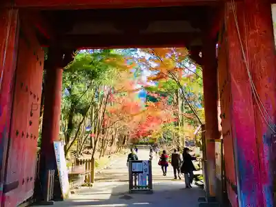 醍醐寺の山門・神門