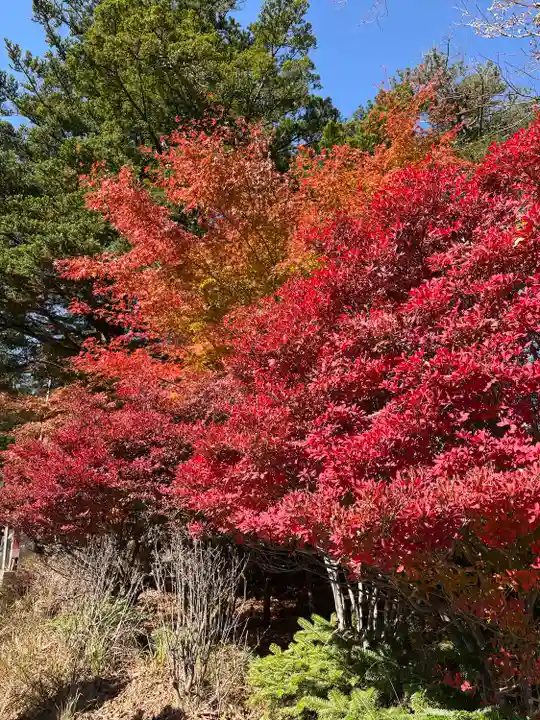 赤城神社(群馬県)