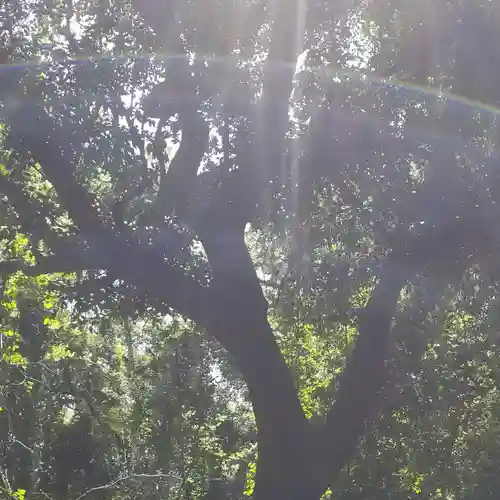 沼尾神社の自然
